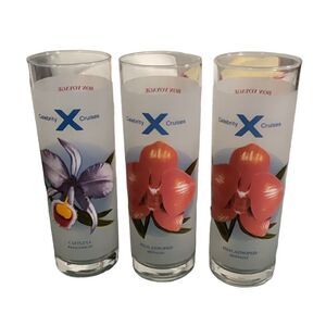 Celebrity X Cruises 7” Highball Tropical Drink Glasses Set of 3 Recipes Flowers